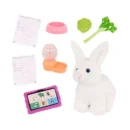 Posable 18-inch Doll & Storybook Set and "Summer Pet Friends"
