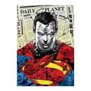 Trefl Puzzles - 1000 Premium Plus - Superman_FSC Mix 70% / Warner Superman