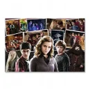Trefl Puzzles - 160 - Harry Potter and friends / Warner Harry Potter and the Half-Blood P