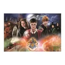 Trefl Puzzles - 300 - The Secret Harry Potter / Warner