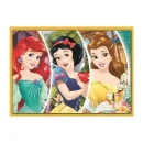 Trefl Puzzles - 4in1 - Happy day / Disney Princess