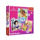 Trefl Puzzles - 3in1 - Beautiful flowers / Disney Princess