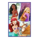 Trefl Puzzles - 3x80 - Princesses friends / Disney Princess_FSC Mix 70%