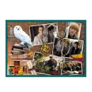 Trefl Puzzles - 10in1 -  In the world of Harry Potter / Warner Harry Potter